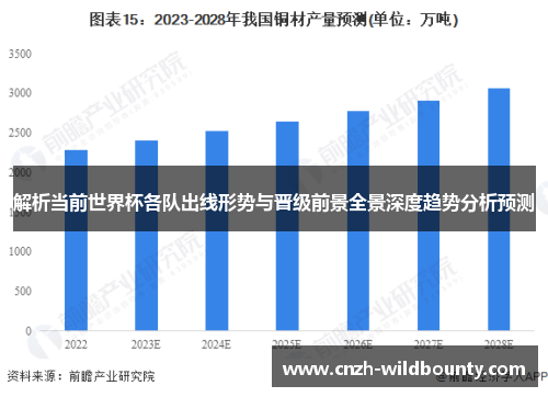 解析当前世界杯各队出线形势与晋级前景全景深度趋势分析预测