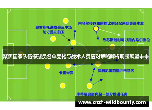 聚焦国家队伤停球员名单变化与战术人员应对策略解析调整展望未来