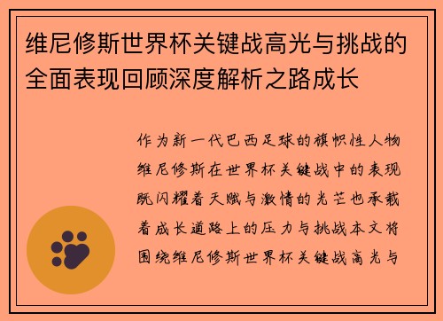 维尼修斯世界杯关键战高光与挑战的全面表现回顾深度解析之路成长