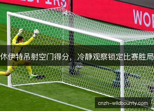 休伊特吊射空门得分，冷静观察锁定比赛胜局